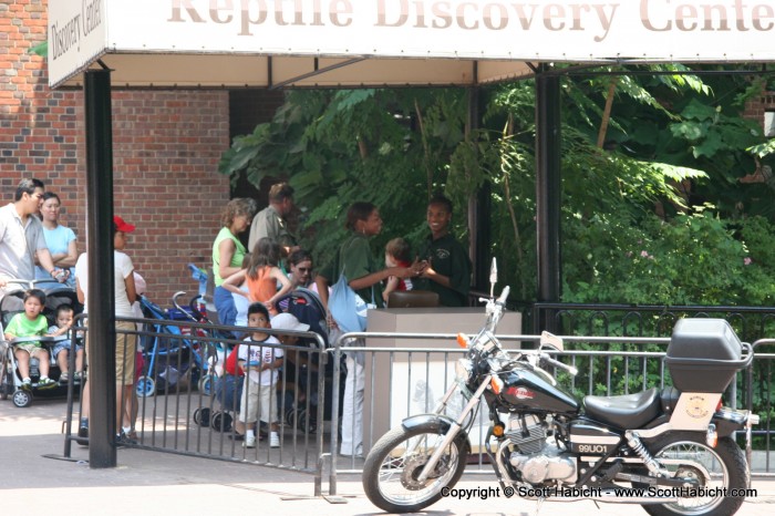 Back outside the reptile house, the police arrived by bike....