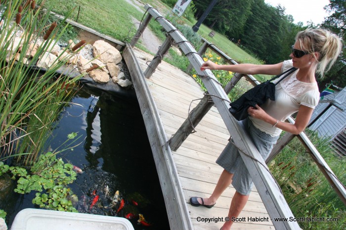 And a koi pond for Kelli to feed the fish.