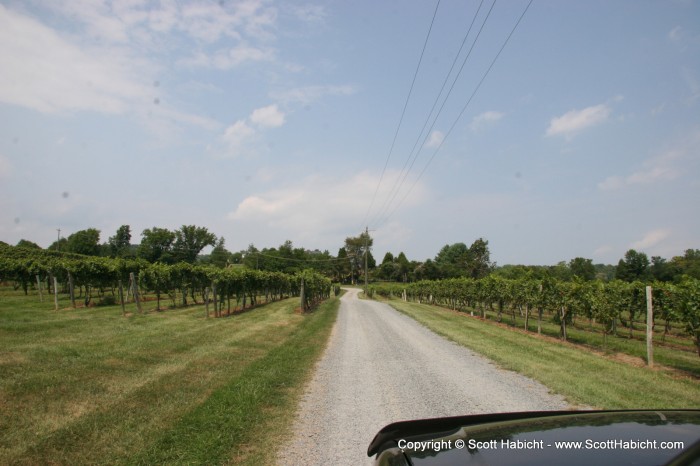 A nice drive in that begins to immerse you in the wine experience.