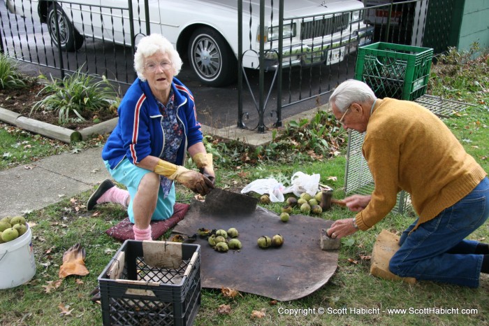 My Grandmother kept busy, too, preparing her black walnuts.