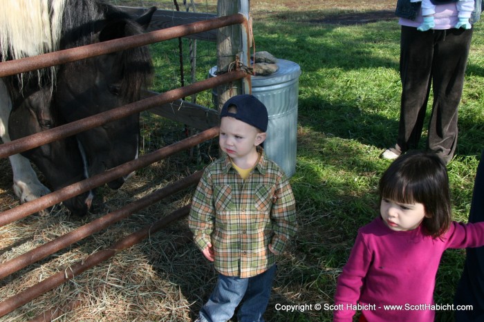 With a small petting zoo type area....