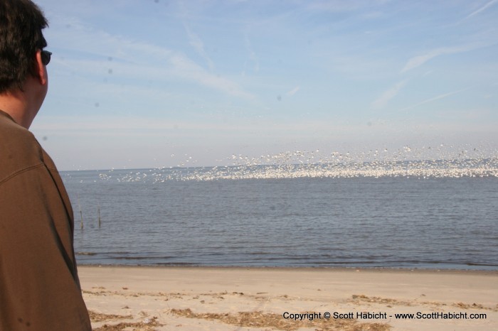 We stopped by Rob's Parent's place on the shore...