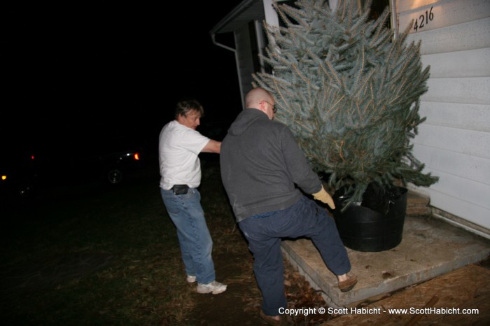 My father and Mathew are trying to figure out how to get the Christmas tree into the house.