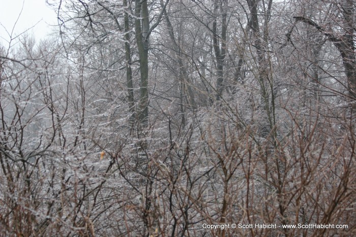 Winter wasn't that bad this year, but we did get a day of ice.