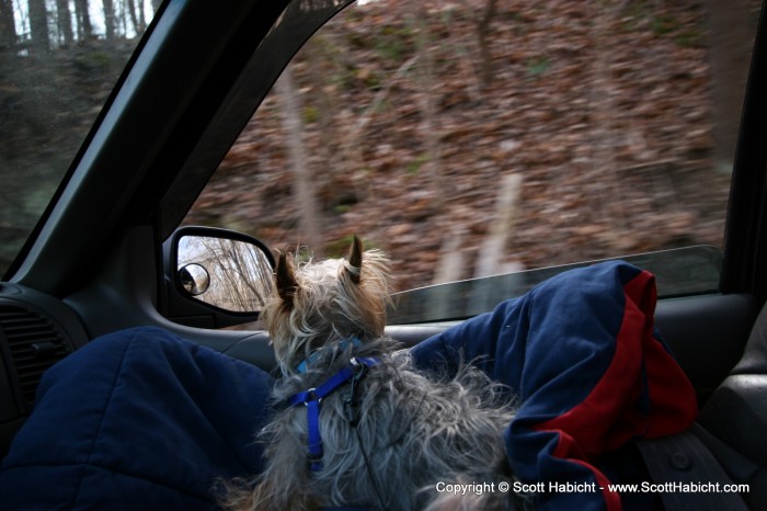 Riley assumed his position on the way home.