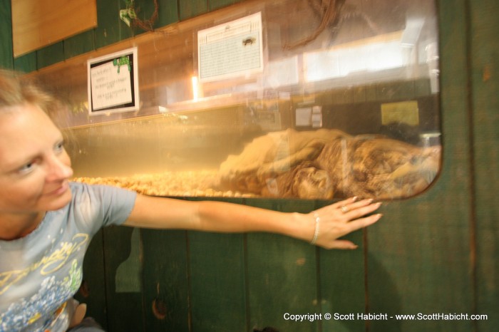 This turtle was as long as her arm.