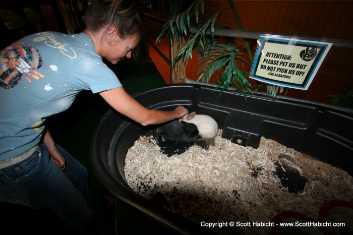 The petting zoo section.