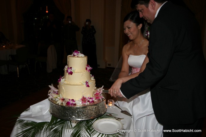 The cutting of the cake...