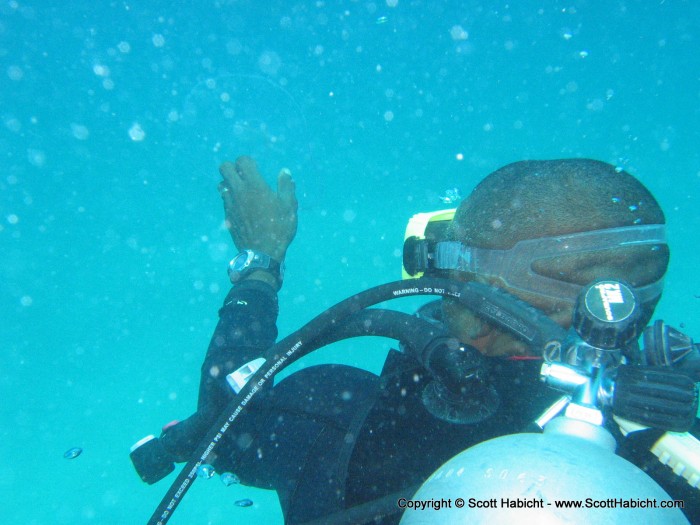 Our divemaster, Carlton (otherwise known as Stringbean) seems to have found something....