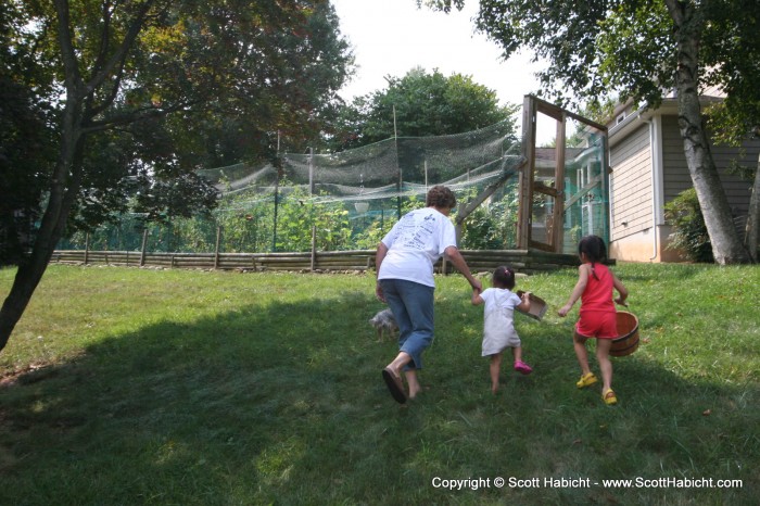 With tomatoes still needing to be picked, mom puts the kids to work.