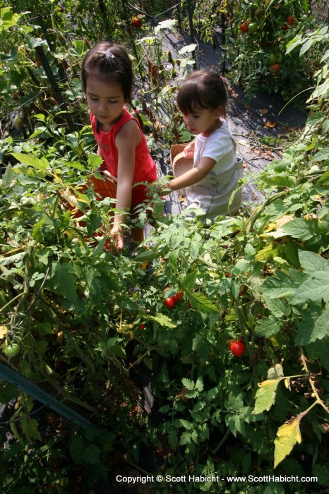 Little migrant workers.