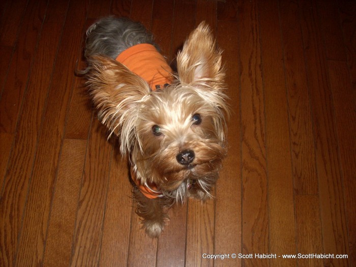 Riley in one of his halloween costumes.