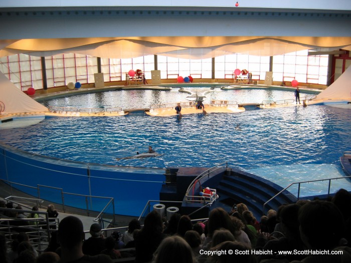 And enjoyed the dolphin show.