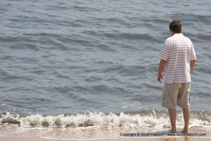 Mark contemplates Great White Sharks.