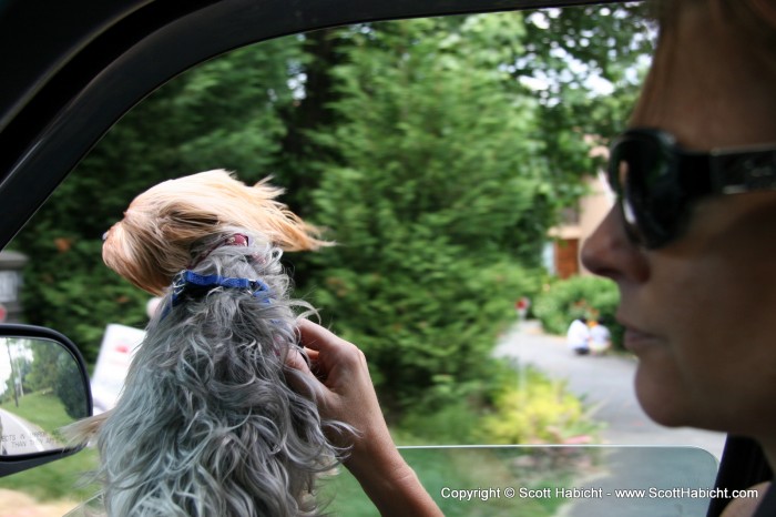 Riley loves car rides.