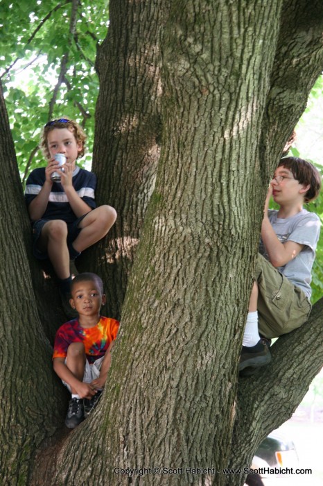 This was a great climbing tree.