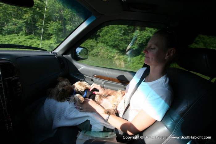 As I said, he's hip to the car rides.