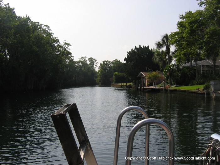 A view from the boat down the river.