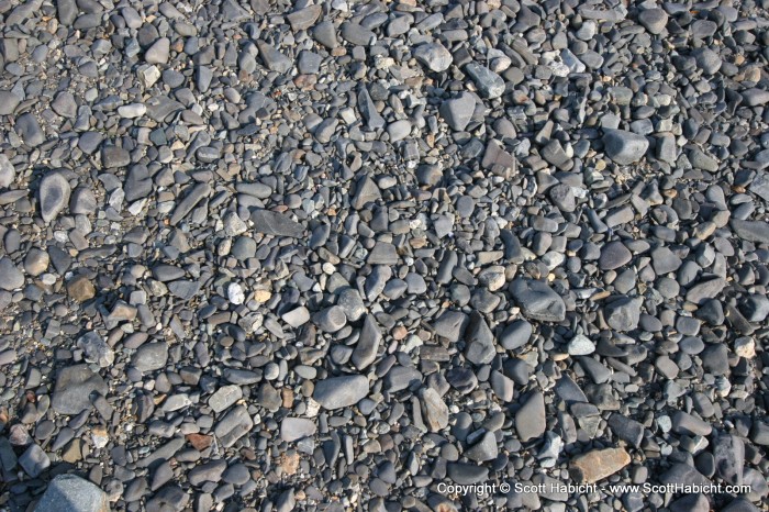 She also grabbed a few of these rocks.