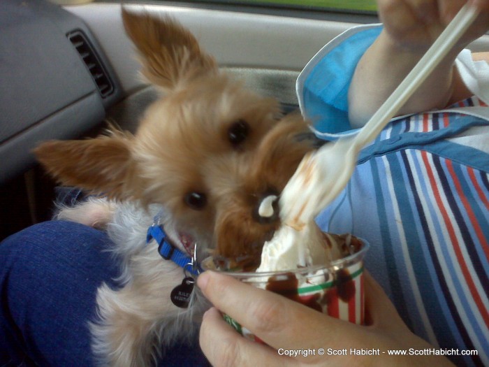 And while they were out, they gave him "doggy" ice cream.