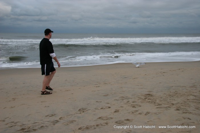 Scott saw this bird on the beach....