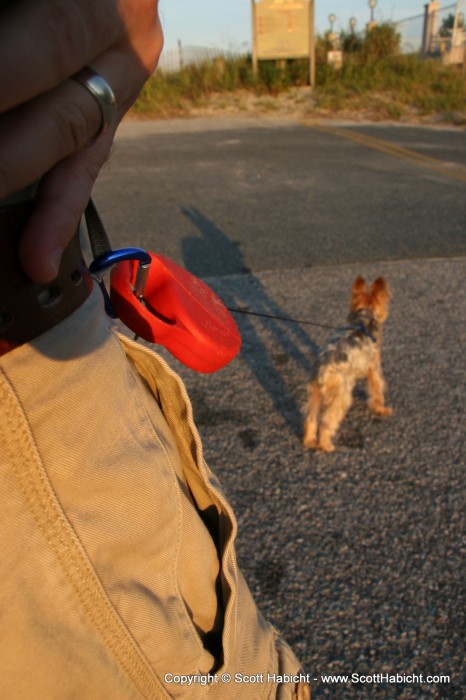 Riley and I went for a walk to take pictures, and this is my hands free setup.