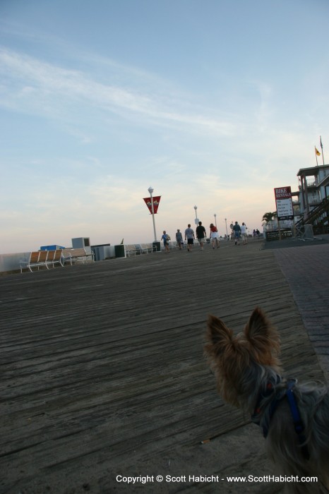 When we got to the boardwalk, we had to stop.....