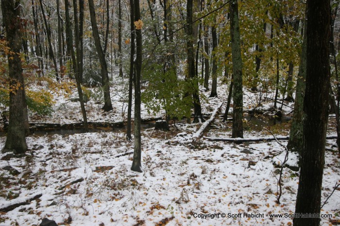 The next morning we awoke to a fresh snow from the night before.