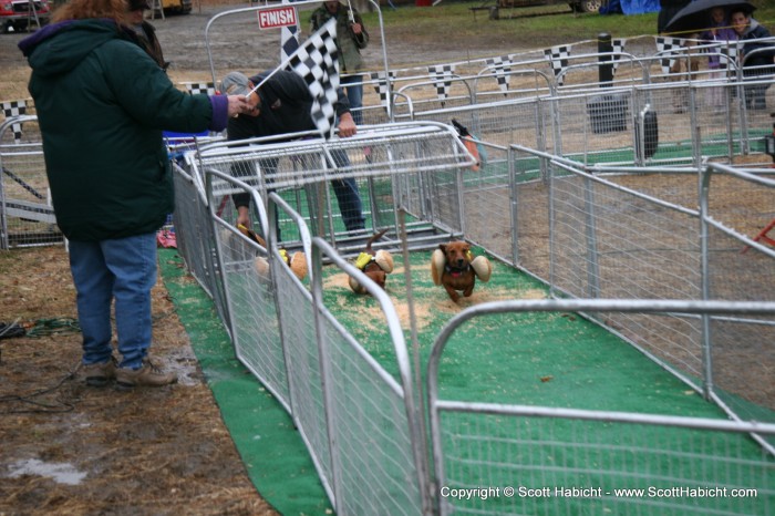 They also had hot dog races.....