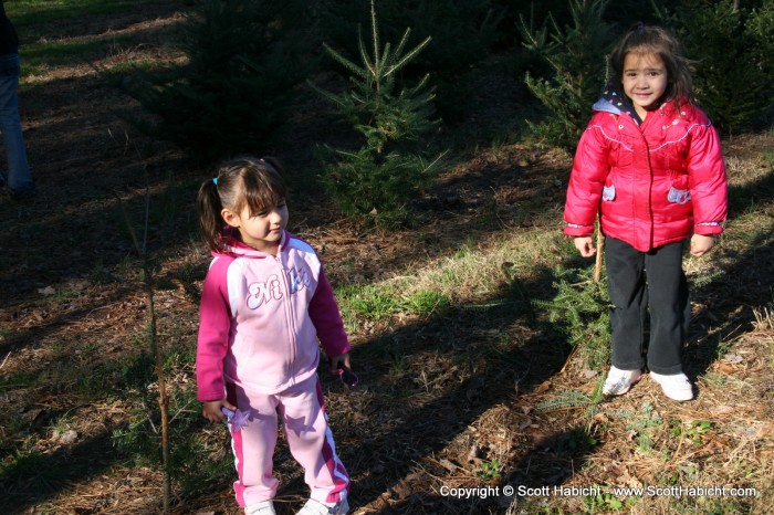 Sophia and Ashley found their Charlie Brown trees....