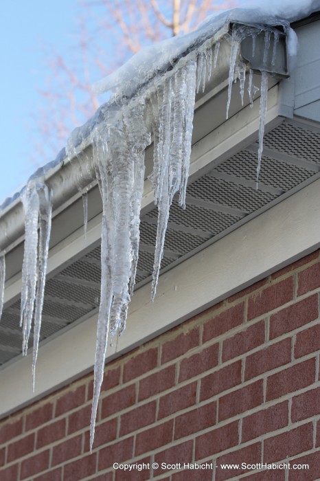 My brother claims to have had a 9-10 foot one hanging off his house. I'm still waiting to see that picture. (Update, he showed the picture, and he did have a huge icicle hanging from his roof).