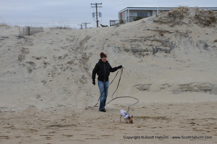 To go out for a walk. The dunes were still messed up from the last hurricane.