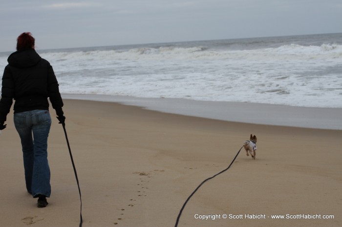 As always, he loves to run on the beach.