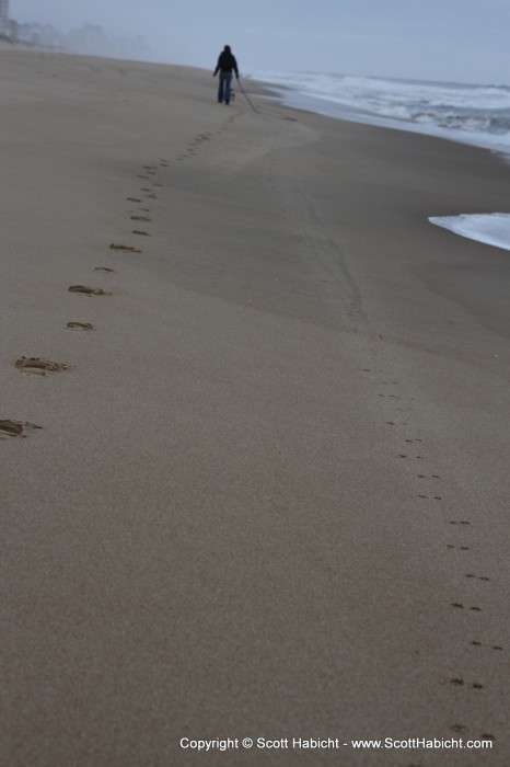 But I did get this picture of their footprints.