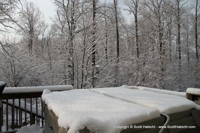 The snow from late January.