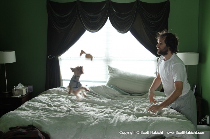 Playing catch with Riley on the bed.