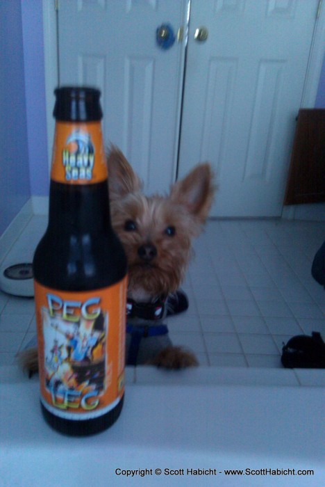 Kelli enjoying a beer while taking a tub, and Riley wants in on the action.