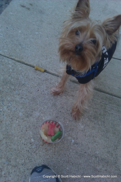 Even Riley got some doggy ice cream.