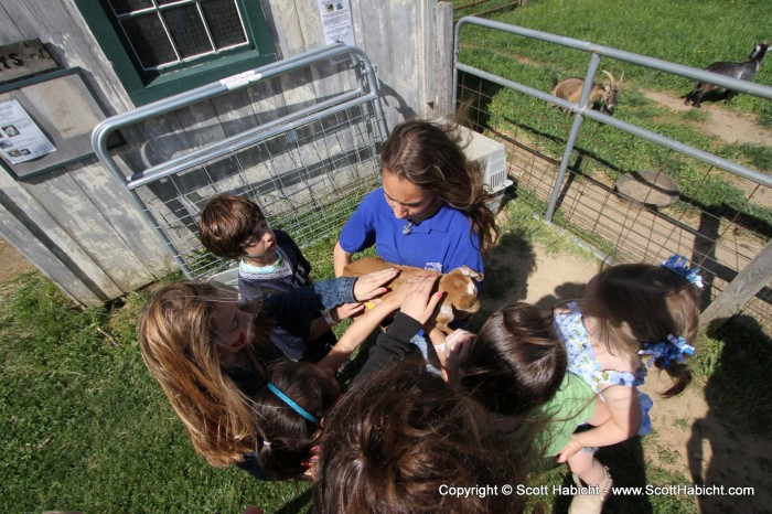 A petting zoo....