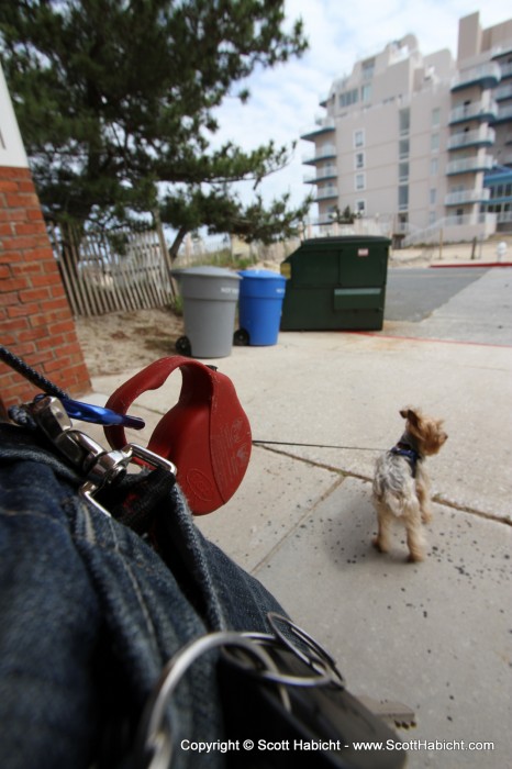 So I took Riley for a walk with my hands free system.