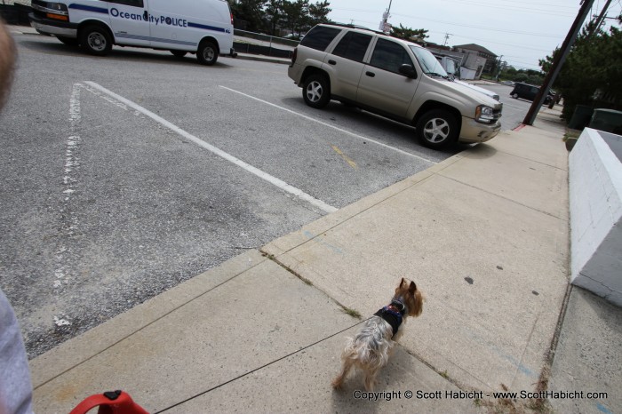 We passed by Ocean City's finest....