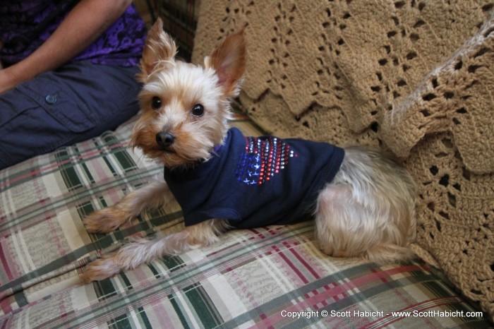 On the 4th, Riley was dressed in his holiday colors.