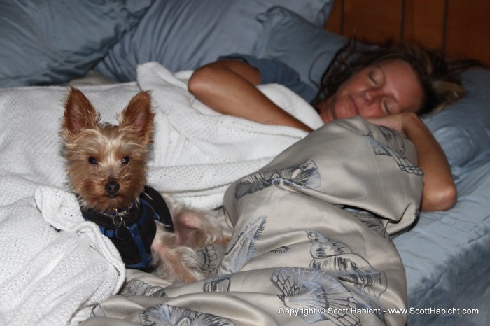 Back at the beach, and look where Riley and Kelli are relaxing.