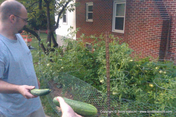 My brother hooked me up with a couple of cucumbers from his garden.