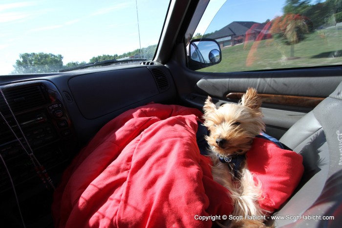 So I hung out for a few hours and then headed home with my sleepy co-pilot.