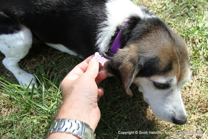 Check out Trinity sporting the Ravens' colors.