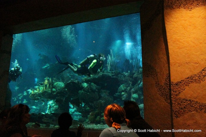 One of the most fun things about being in the tank was all the children waving at you.