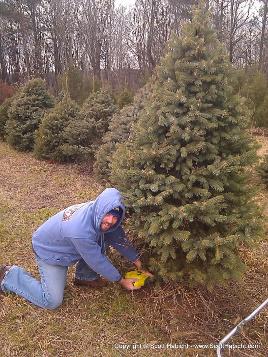 With our wine party approaching, it was time to get our tree.