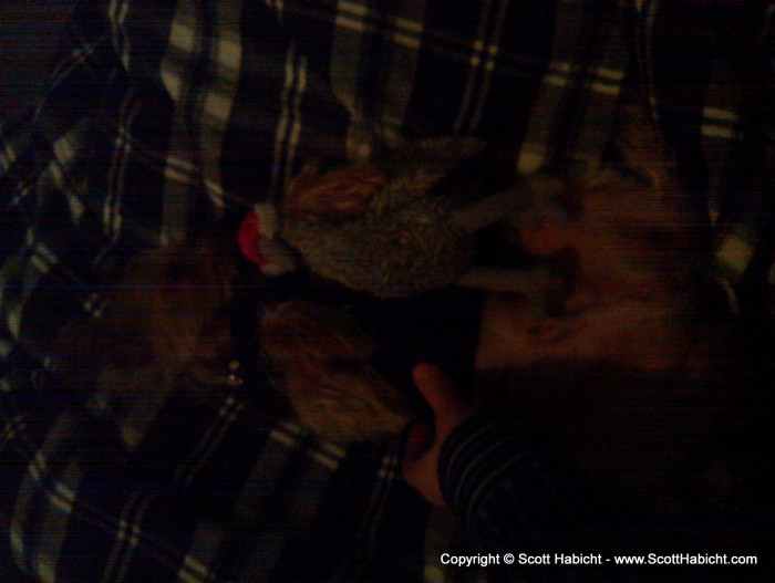 Riley napping with one of his many stuffed animals.