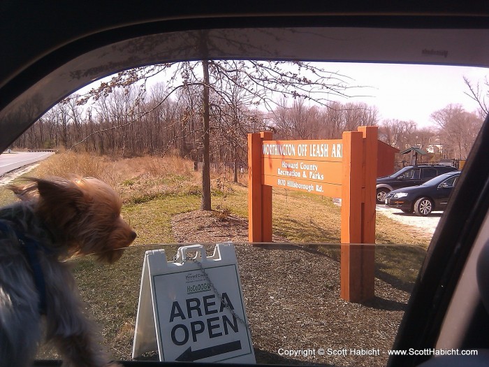 I needed to get a license for Riley to use the off-leash park, but we'll be back when he has his papers in order.